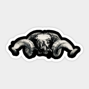 Ram Skull Sticker